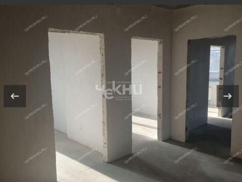 1-komnatnaya-derevnya-afonino-kstovskiy-rayon фото