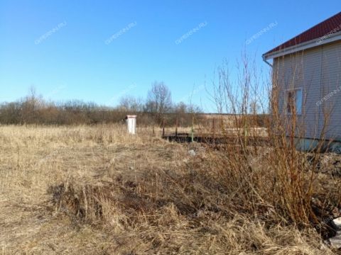 selo-kamenki-bogorodskiy-municipalnyy-okrug фото