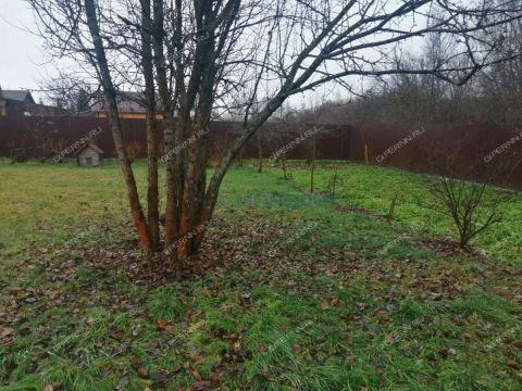 dacha-snt-vodnik-2-gorodskoy-okrug-bor фото