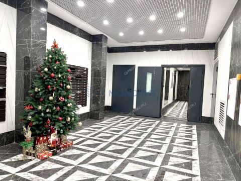 2-komnatnaya-derevnya-ankudinovka-kstovskiy-rayon фото