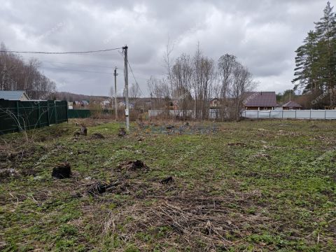 snt-stroitel-bogorodskiy-municipalnyy-okrug фото