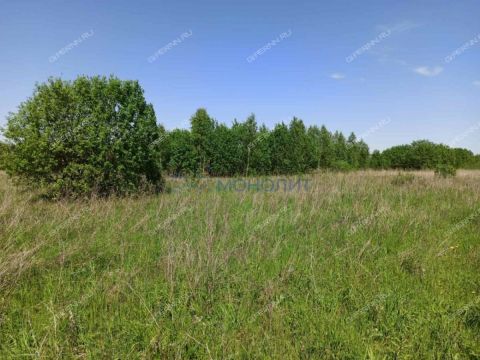 selo-kamenki-bogorodskiy-municipalnyy-okrug фото