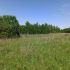 земельный участок 31,8 сотки Тепличная улица село Каменки