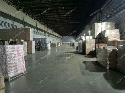 zayceva-ul-d-31 фото