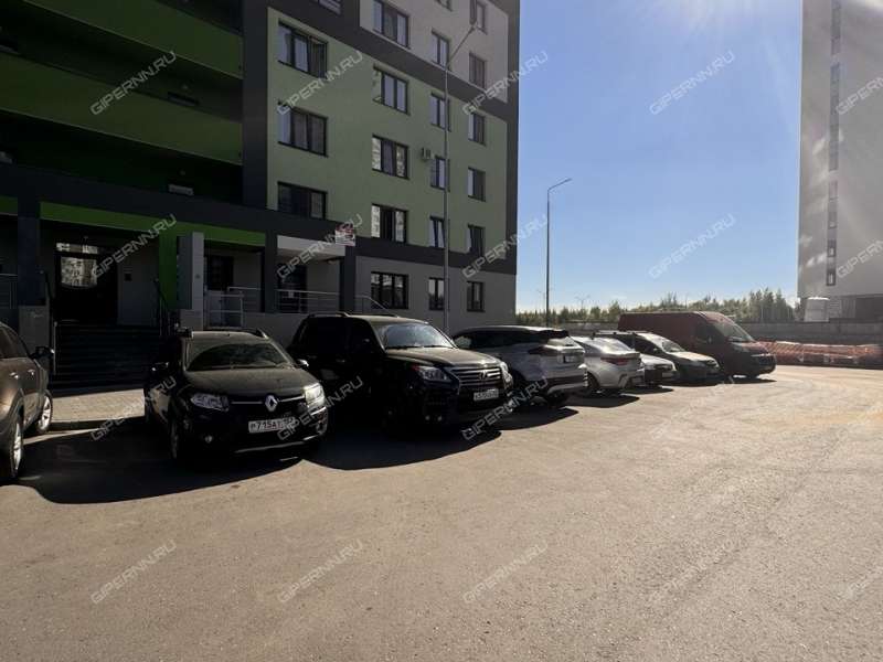 однокомнатная квартира на улице Родионова дом 202 к1