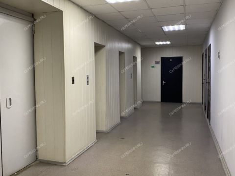 ul-vaneeva-d-127 фото