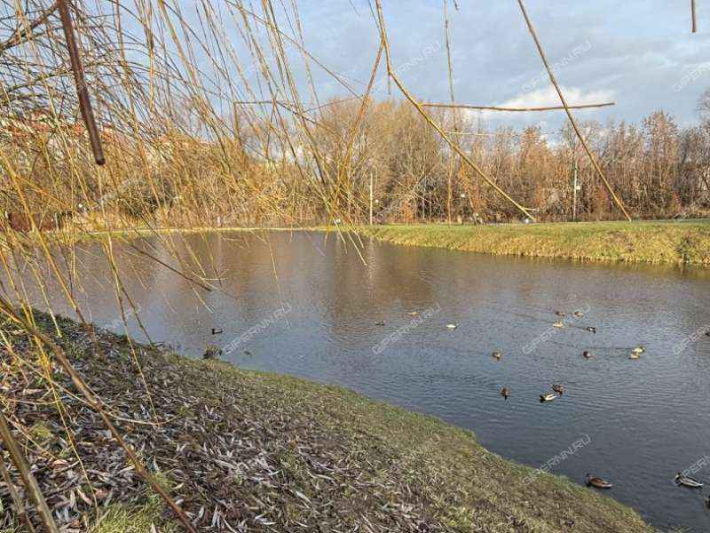 двухкомнатная квартира на улице Островского дом 3 город Кстово