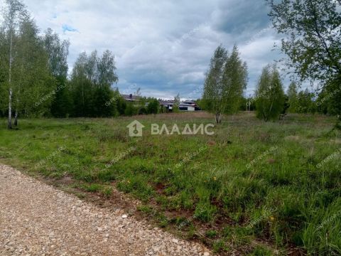 derevnya-inyutino-bogorodskiy-municipalnyy-okrug фото