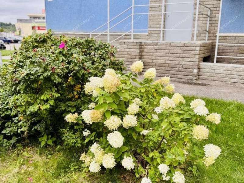 однокомнатная квартира на Южном бульваре дом 13