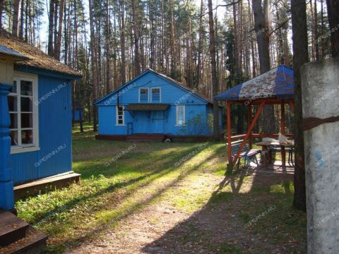 derevnya-syrohvatovo-gorodskoy-okrug-bor фото