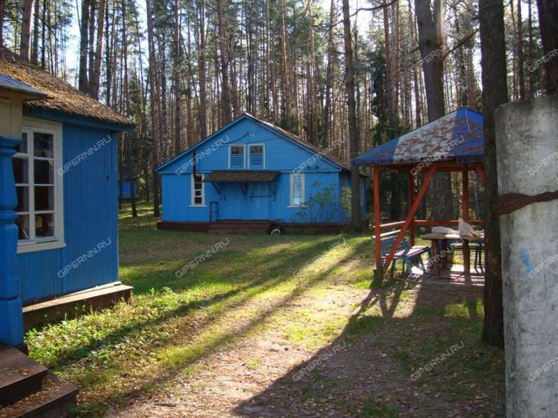 земельный участок под коттеджный посёлок в городском округе Бор Нижегородской области