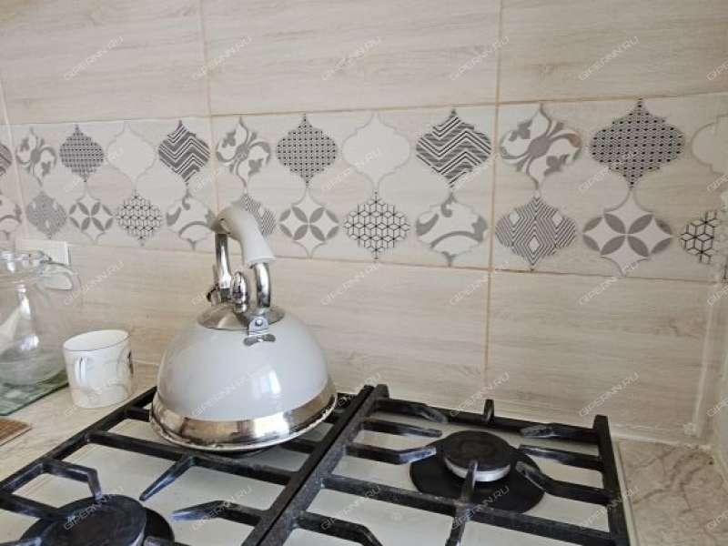 трёхкомнатная квартира на Горной улице дом 20