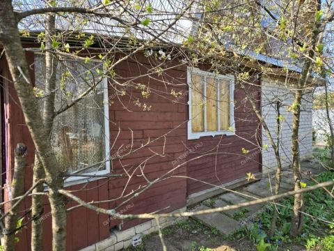 dacha-ul-radishheva фото