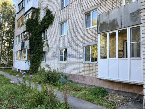 1-komnatnaya-poselok-zhdanovskiy-kstovskiy-rayon фото