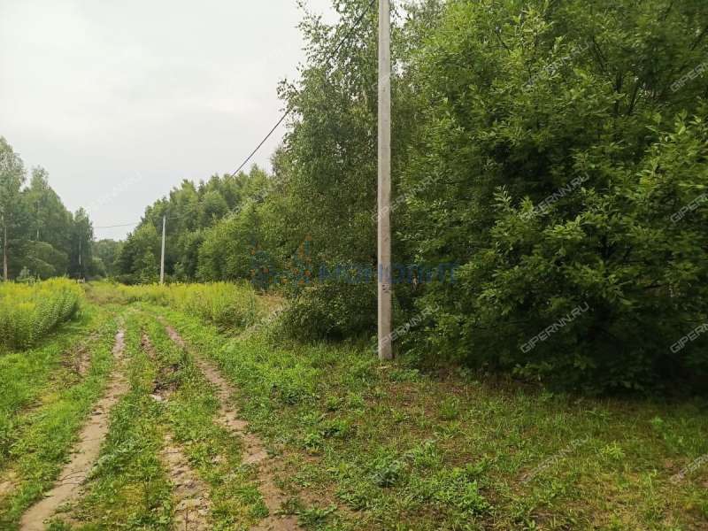 земельный участок 10 соток Дружбы улица село Елховка