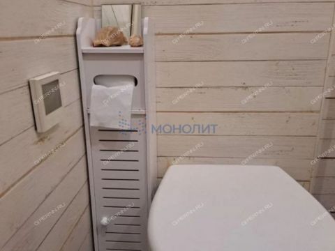 1-komnatnaya-selskiy-poselok-druzhnyy-bogorodskiy-municipalnyy-okrug фото