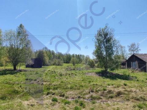 derevnya-berezovo-sokolskiy-gorodskoy-okrug фото