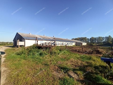 selo-redkino-gorodskoy-okrug-bor фото