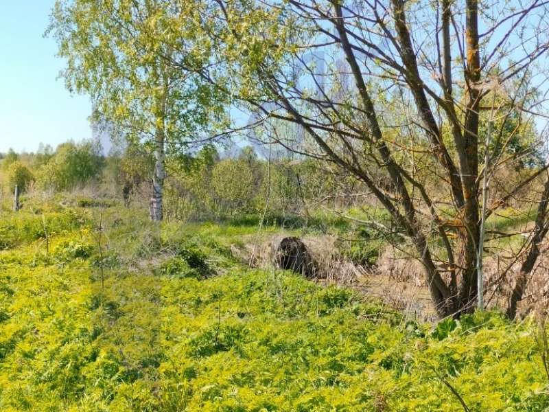 земельный участок под коммерческое использование в городском округе Сокольский Нижегородской области