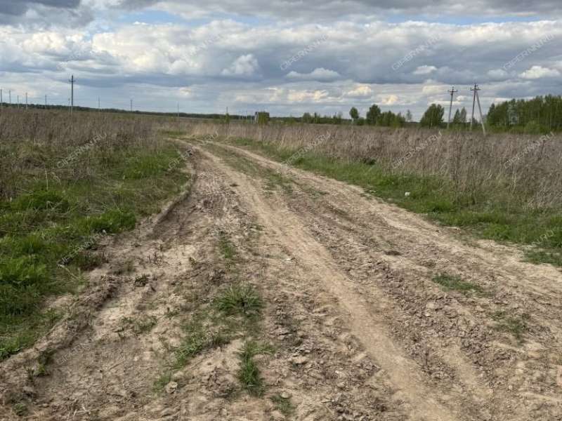 земельный участок 8 соток Михаила Солянинова деревня Каликино