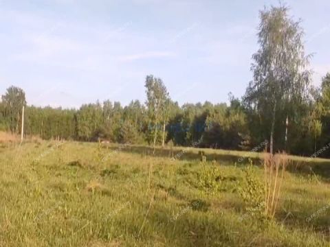 selo-timonkino-gorodskoy-okrug-chkalovsk фото