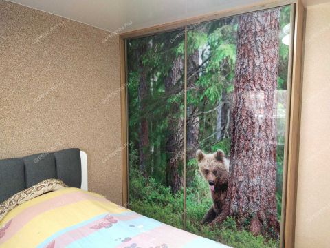 3-komnatnaya-ul-pobednaya-d-14 фото