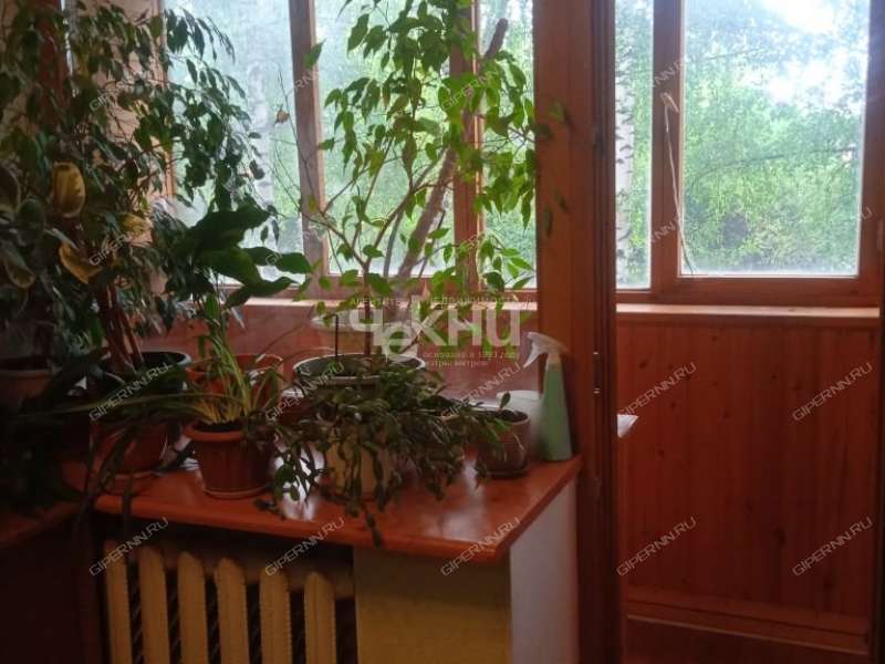 двухкомнатная квартира на Родниковой улице дом 46