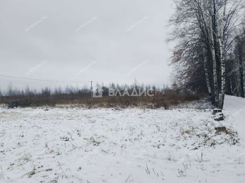 selo-bezvodnoe-kstovskiy-rayon фото