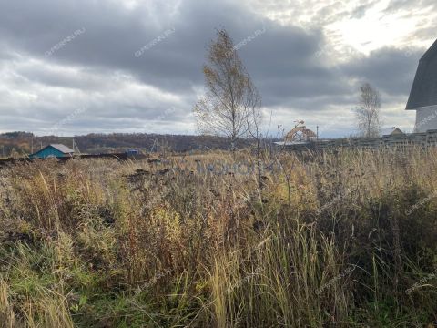 derevnya-shumilovo-bogorodskiy-municipalnyy-okrug фото