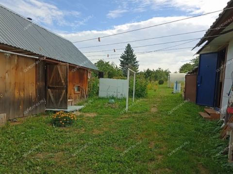 1-2-doma-derevnya-gremyachki-bogorodskiy-municipalnyy-okrug фото