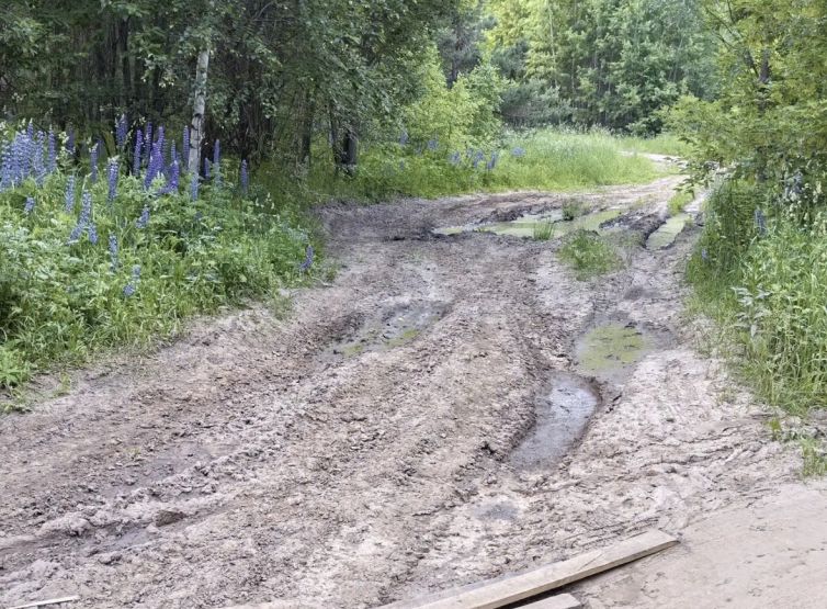 Фото: Юлия Бажина / gipernn.ru