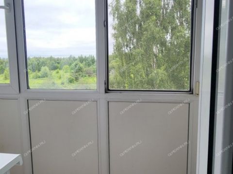 1-komnatnaya-gorod-lyskovo-lyskovskiy-municipalnyy-okrug фото