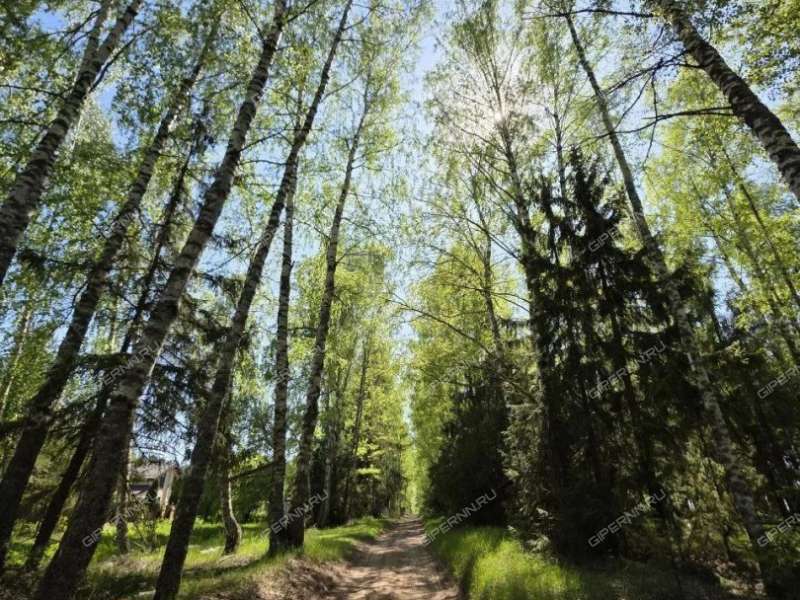 земельный участок 8 соток деревня Кудрино