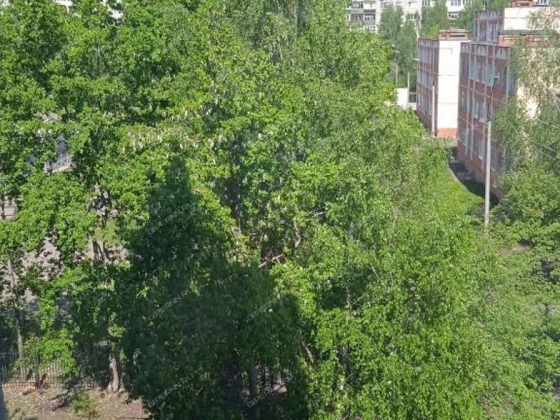 двухкомнатная квартира на улице Строкина дом 17б