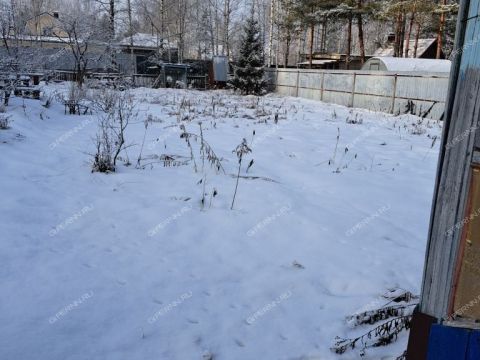 dacha-rabochiy-poselok-bolshoe-kozino-balahninskiy-municipalnyy-okrug фото