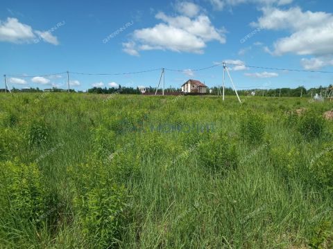 derevnya-burcevo-bogorodskiy-municipalnyy-okrug фото