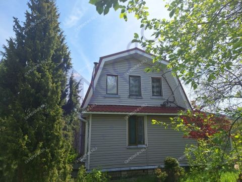 dacha-derevnya-trestyany-bogorodskiy-municipalnyy-okrug фото