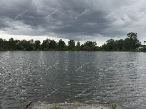 dom-derevnya-piyaichnoe-sosnovskiy-rayon фото