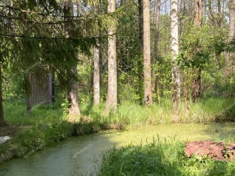 dom-selo-dryukovo-gorodskoy-okrug-bor фото