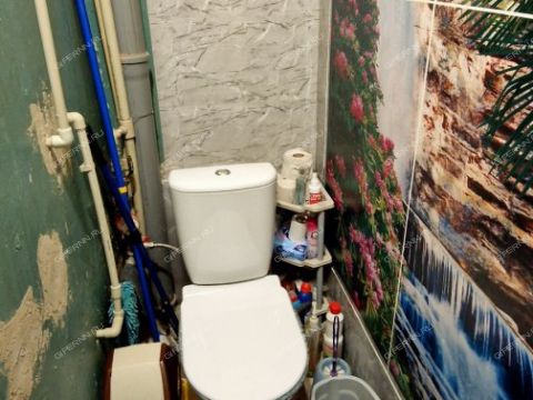 2-komnatnaya-selo-sheloksha-kstovskiy-rayon фото