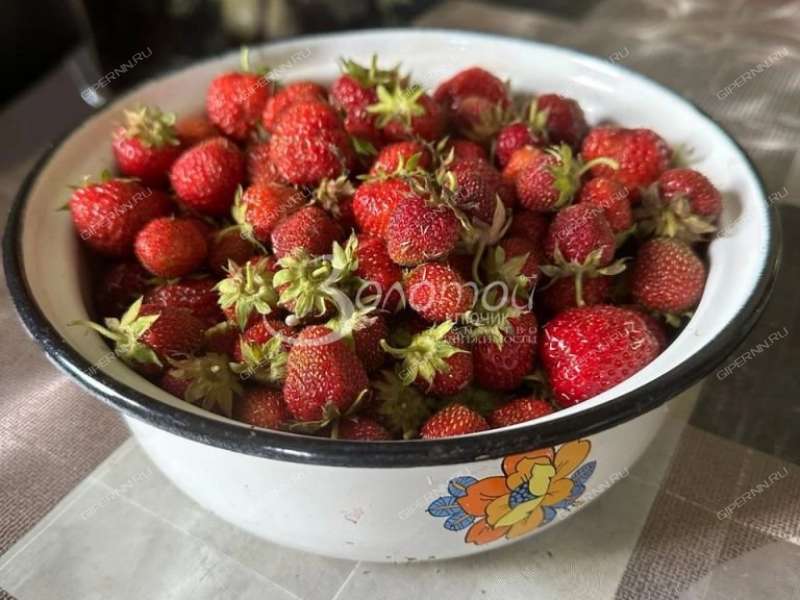 дом на улице Приволжская село Михайловское