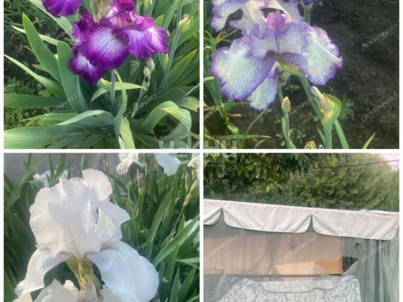 дом на Ново Луговая рабочий посёлок Большое Мурашкино