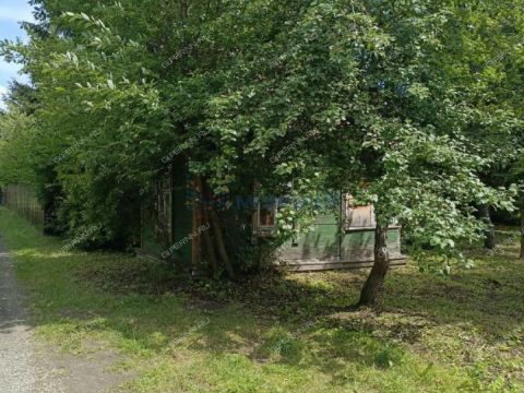 sad-snt-n-1-malyshevo фото