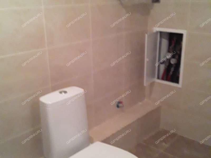 однокомнатная квартира на Русской улице улице дом 18 деревня Анкудиновка