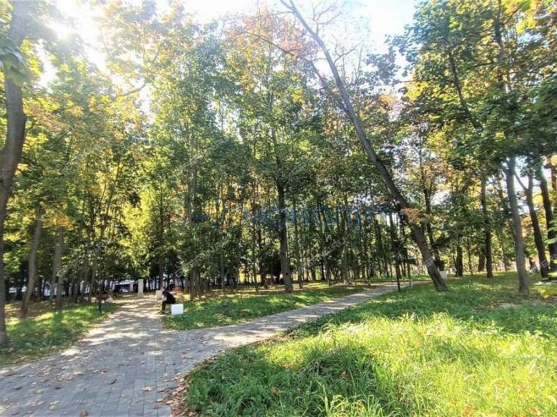 квартира-студия на улице Родионова дом 31